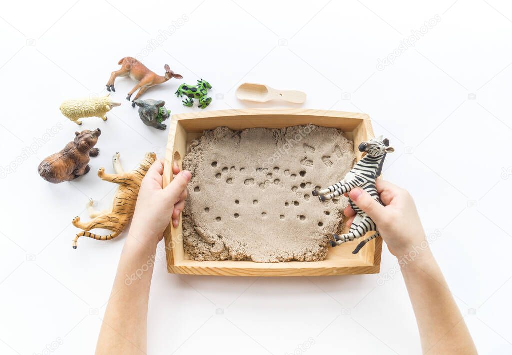 Montessori material. Children's hands play an animal figure. Kinetic sand