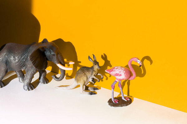 Shadow from the Elephant Flamingo and Kangaroo.figure of an animal
