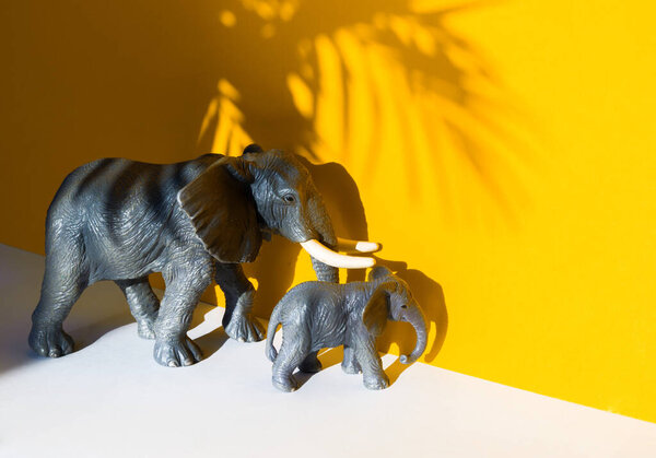 Figure of an animal on a yellow background. Shadow from the Elephant.