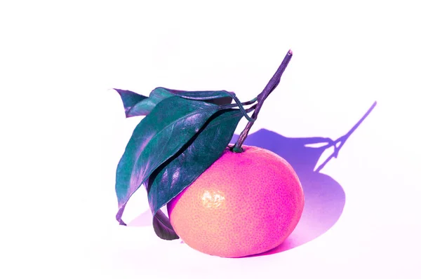 Bemalte Mandarine mit blauem Blatt auf weißem Hintergrund — Stockfoto