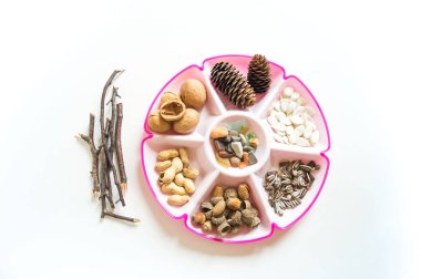 Montessori dersi. Doğal malzeme sonbaharı.