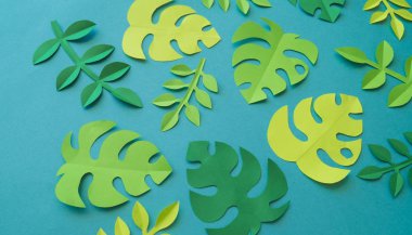 Leaves of paper. Blue background.