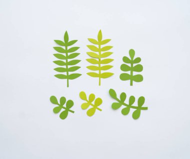 Kağıttan çiçekler. Beyaz arkaplan.