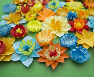 Çiçekler kağıttan yapılmış. Yeşil arka plan.