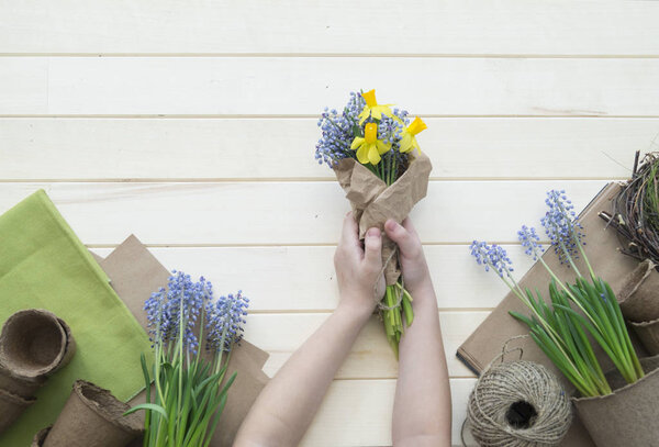 Hands of a child make a bouquet of tulips.
