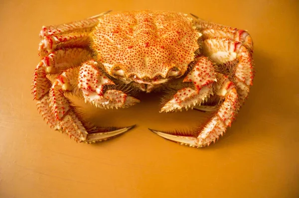 Seashells and crab in the sand. — Stock Photo, Image