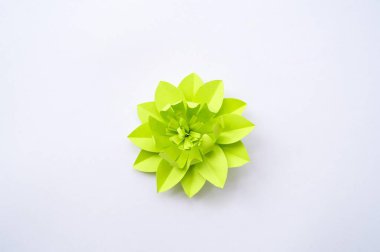 Kağıttan yapılmış çiçek. Gökkuşağı rengi. Yaratıcılık bir hobidir.