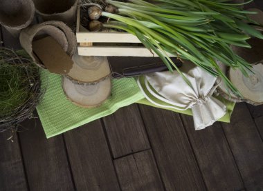 Nergislerin çiçek nakli. Bulbous bitkisi. Esrar ve alet astarı. Ahşap arkaplan