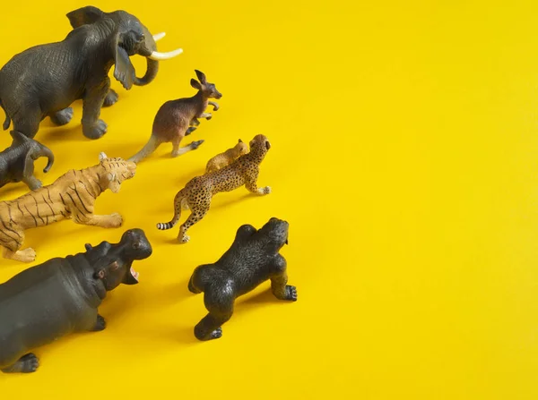 Plastic figurines of animals in hot countries. Protection of the animal. Children\'s toy. Yellow background.