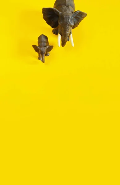 Plastic figurines of animals in hot countries. Protection of the animal. Children\'s toy. Yellow background.