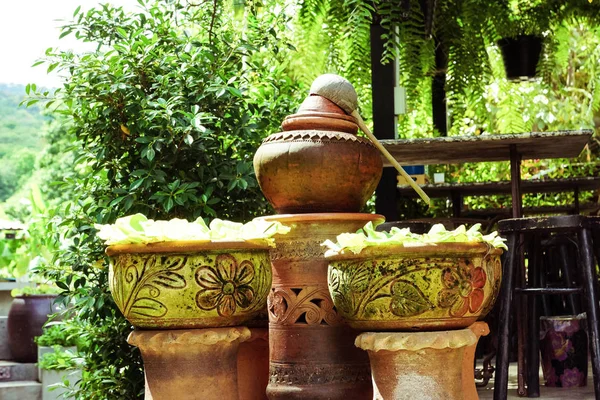 clay jars with green leaf in garden