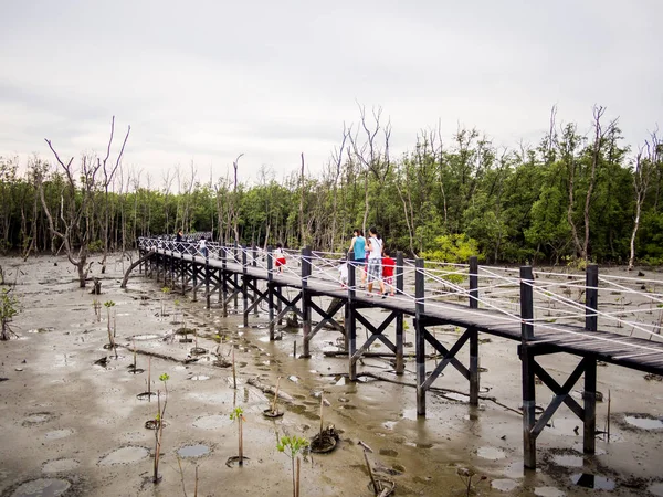 Rodinu chodit na dřevěný most přes mangrovových lesů Royalty Free Stock Fotografie