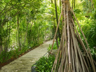 yürüyüş yolu yol tropikal Bahçe