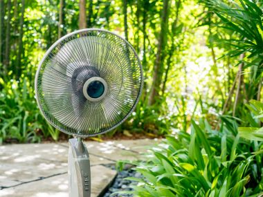 Bahçedeki elektrik tablo fan 