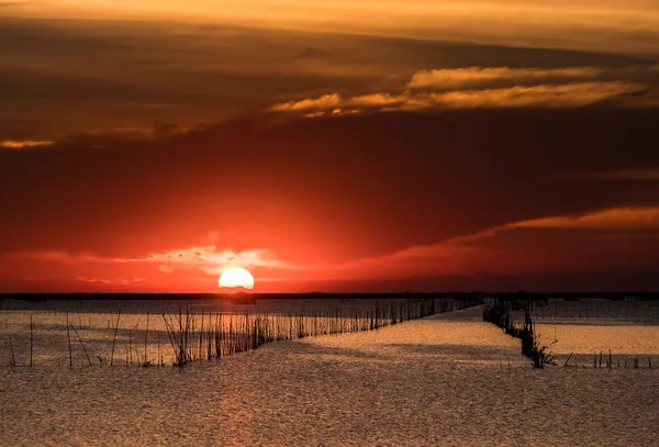 Wunderschöner Sonnenuntergang über dem Meer in Thailand. Silhouette von Fischfarmen — Stockfoto