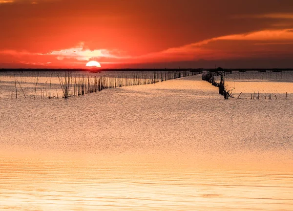 Belo pôr-do-sol acima do mar na Tailândia. Silhueta de pisciculturas — Fotografia de Stock