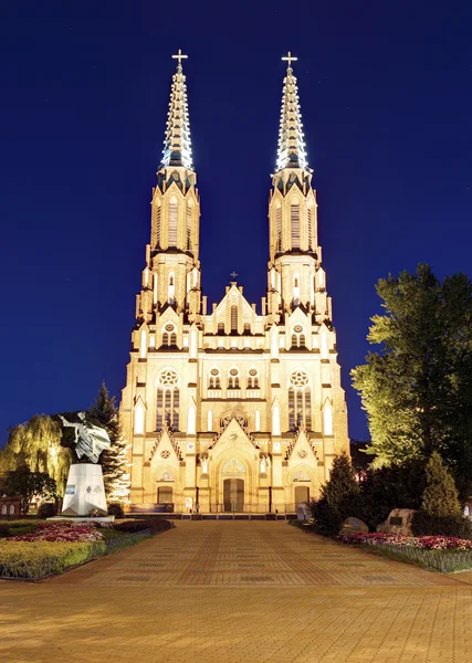 Cattedrale di San Florian a Varsavia — Foto Stock