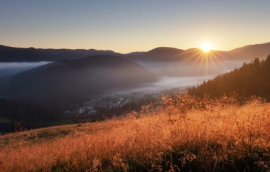 Güneşli pelerin, çayır, orman ve dağ.
