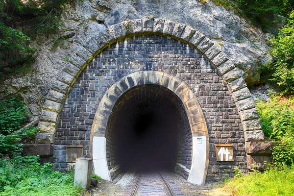 Kolejowy tunel z kolei - stary — Zdjęcie stockowe