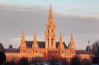 Viyana Belediye Binası, Wiener Rathaus, Avusturya