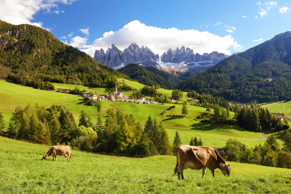 Vistas al campo del valle de Funes, Bolzano, Italia, Europa . — Foto de Stock