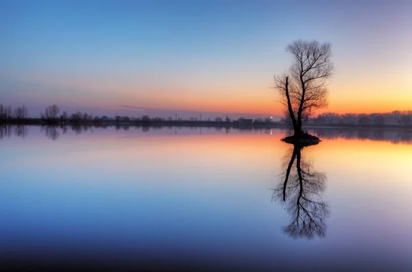 Boom in meer met kleur sky — Stockfoto