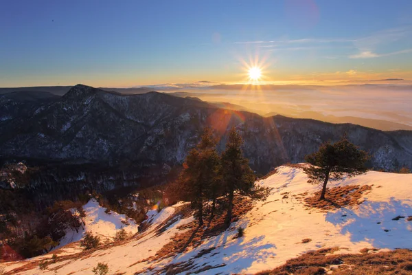 Zonsondergang in de winter met forest in Slowakije — Stockfoto