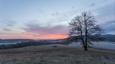 Yalnız ağaç günbatımı güneş, zaman atlamalı, çayır üzerinde