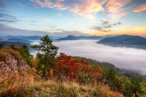 Pendiente montañosa boscosa en niebla en un paisaje pintoresco . —  Fotos de Stock