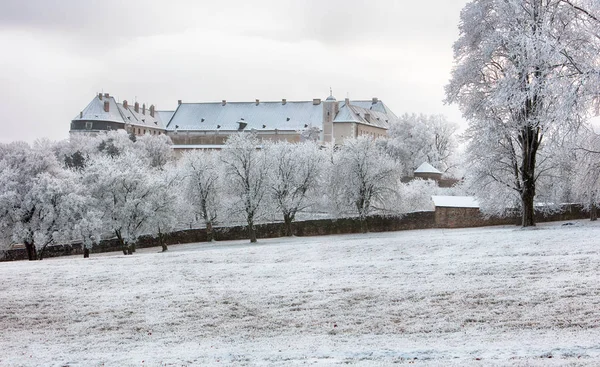 Albero invernale con castello Cerveny Kamen, Slovacchia — Foto Stock