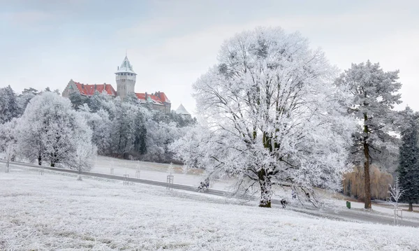 Landcape invernale con castello Smolenice, Slovacchia . — Foto Stock