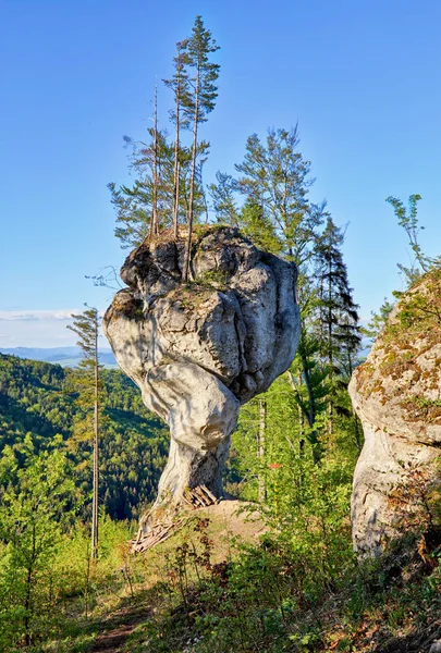 Forest with big rock, Budzogan — Stock Photo, Image