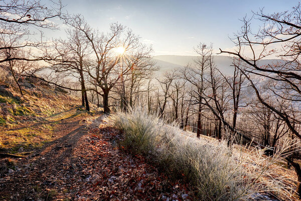 Замерзает осенний рассвет, камни покрыты свежим порошковым снегом
. 
