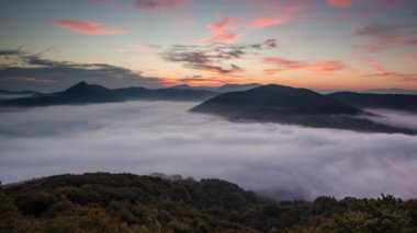 Orman dağ yamacı sis peyzaj - zaman atlamalı gündoğumu