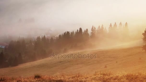 Misty sunrise with sun and forest, Mlynky, Eslováquia, Time lapse — Vídeo de Stock