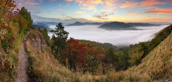 以上雾和森林秋天日出景观，斯洛伐克，诺西采 — 图库照片