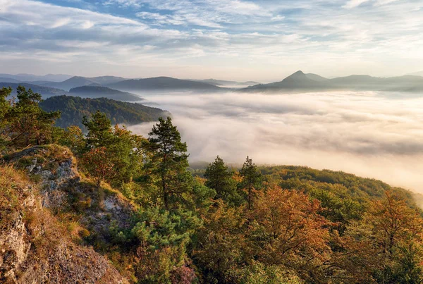 Paesaggio Bella mattina d'autunno sopra profonda valle del bosco . — Foto Stock