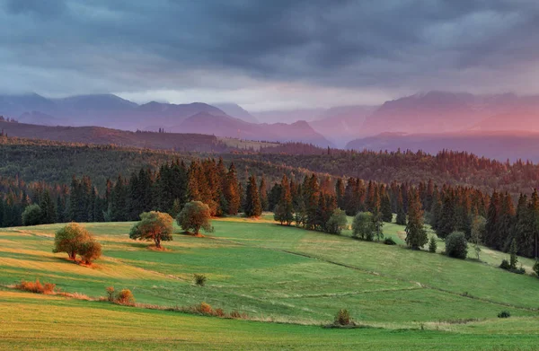 Закат в горах Польши с лесом — стоковое фото