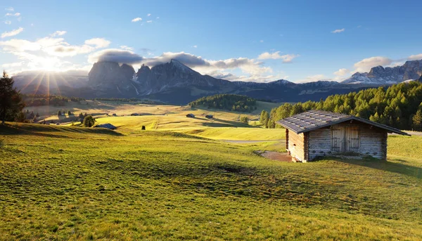 Alpes amanecer verde montaña paisaje, Alpe di Siusi — Foto de Stock