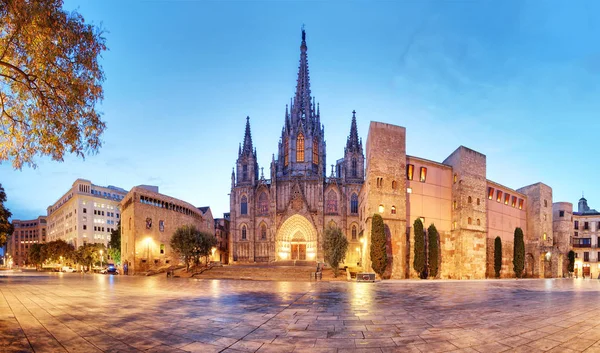 Barcelona, a katedrális, a Barri Gothic Quarter panoráma — Stock Fotó