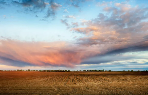 Campo preenchido com nuvens vermelhas — Fotografia de Stock