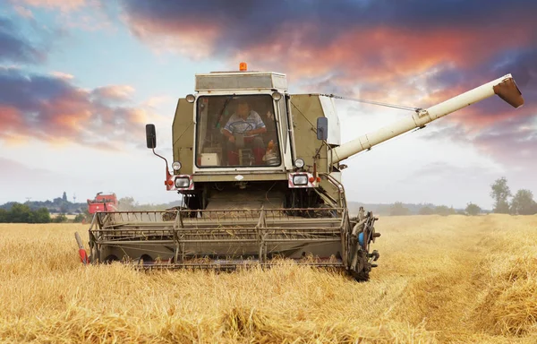 Combina la mietitrebbia nel campo di grano. — Foto Stock