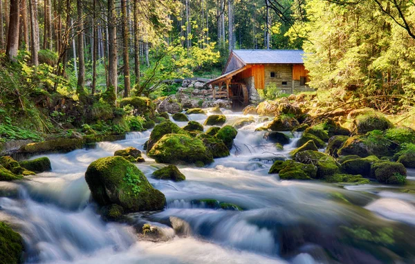 Paysage beauté avec rivière et forêt en Autriche, Golling — Photo