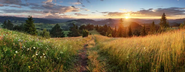 Beautiful summer panoramic landscape in mountains - Pieniny / Ta — Stock Photo, Image