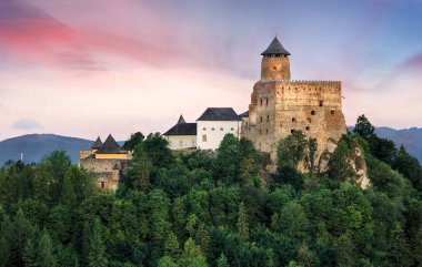 Stara Lubovna kale Slovakya, Avrupa