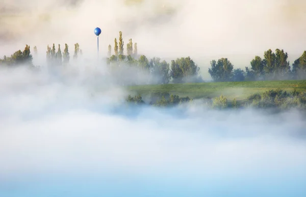 Evergreen co ile düşük yalancı bulutta ormanlık dağ yamacı — Stok fotoğraf