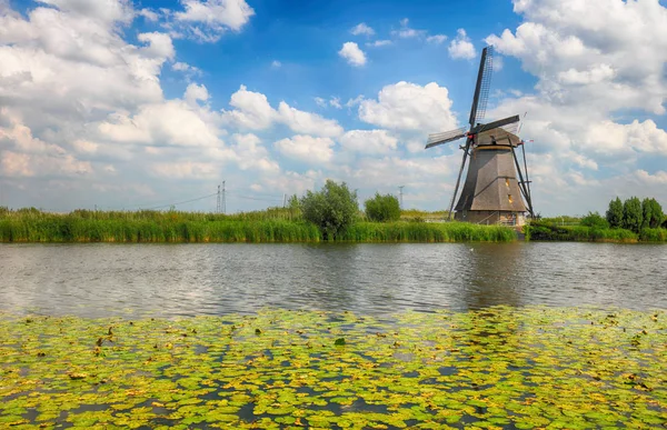 Bela paisagem de moinho de vento holandês em Kinderdijk, na Holanda — Fotografia de Stock