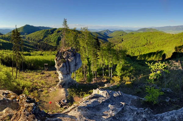 Forêt avec grosse roche, Budzogan — Photo