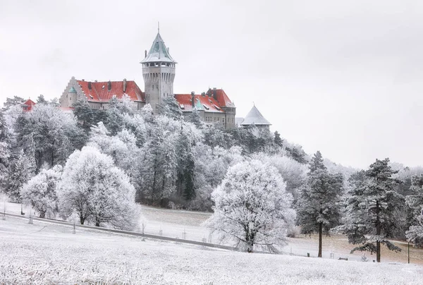 Nuvole di foresta invernale Paesaggio con castello di Smolenice, Slovacchia — Foto Stock