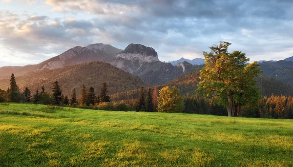 산, Tatranska Javorina, 슬로바키아에에서 일출 풍경 — 스톡 사진